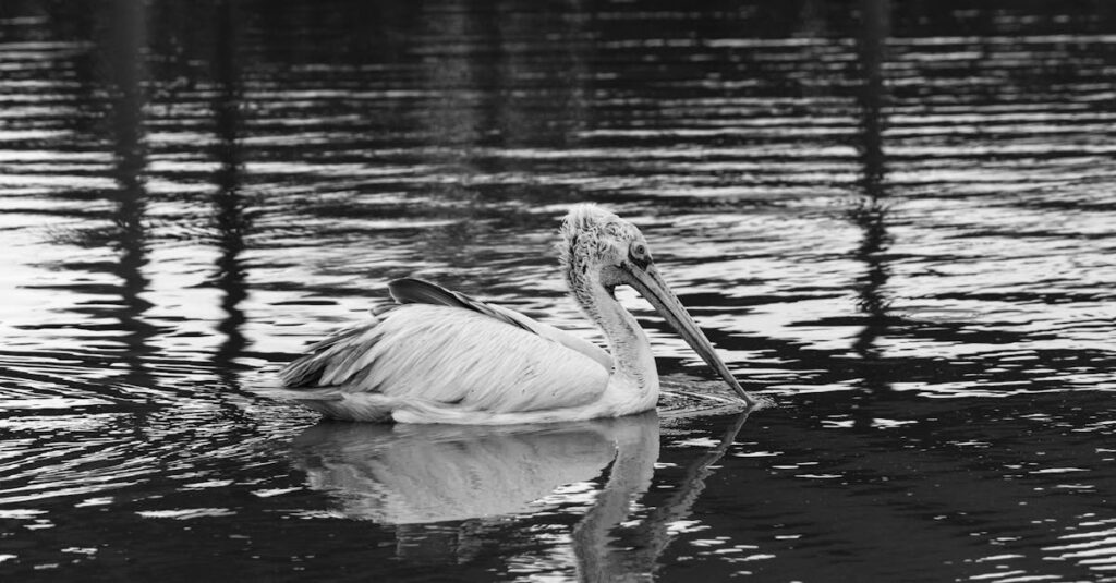 Hong-Kong-censorship