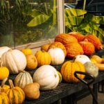 Sabrina-Carpenter-Variety-Hitmakers