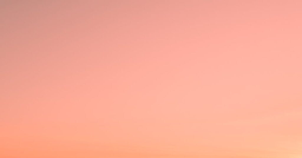 Zohran-Mamdani-New-York