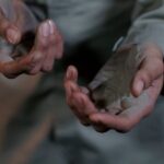 ai-impact-employment