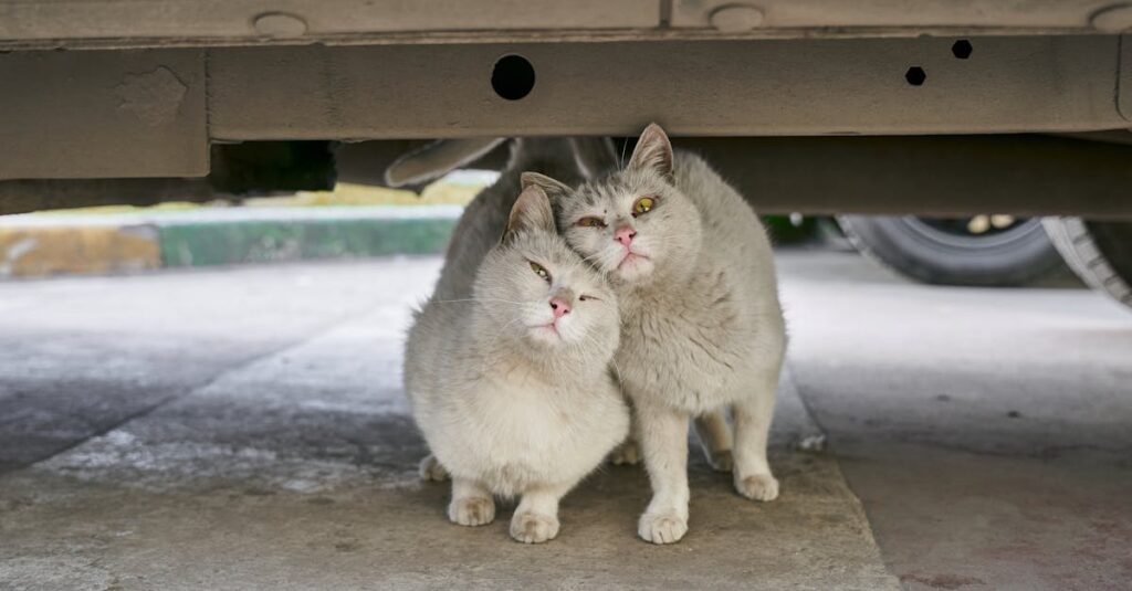 Illustration de Fanil Sarvarov : qui était le général russe assassiné à Moscou ? car-explosion-moscow