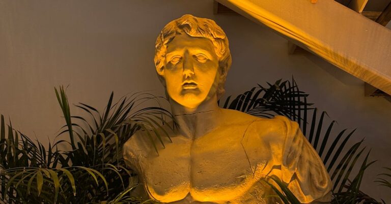 Illustration de David Rachline démissionne de la vice-présidence du RN david-rachline-politican