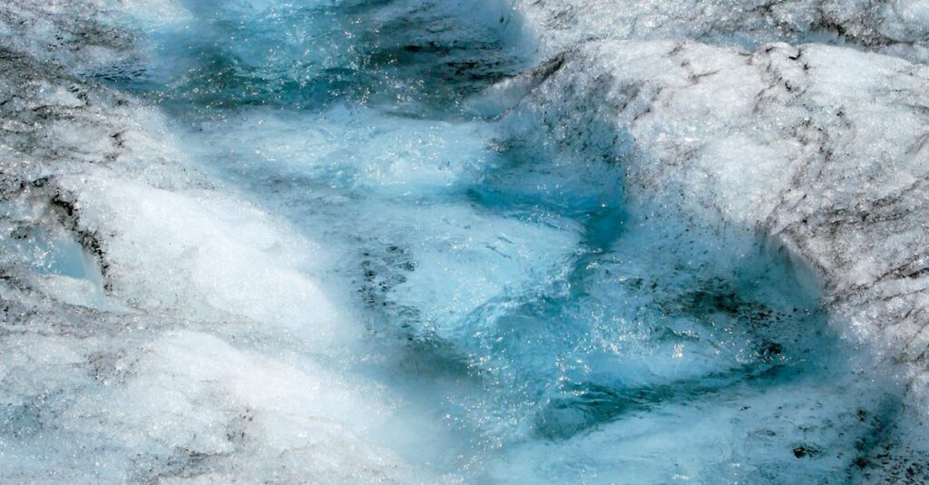 glyphosate-herbicide-research