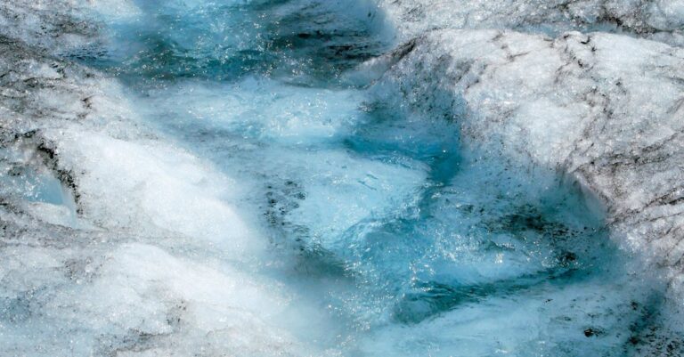 Illustration de Glyphosate : une étude clé sur sa sûreté rétractée 25 ans après glyphosate-herbicide-research