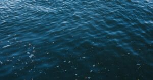 Illustration de Alerte : l'eau du robinet contaminée au PFAS en France water-pollution-analysis