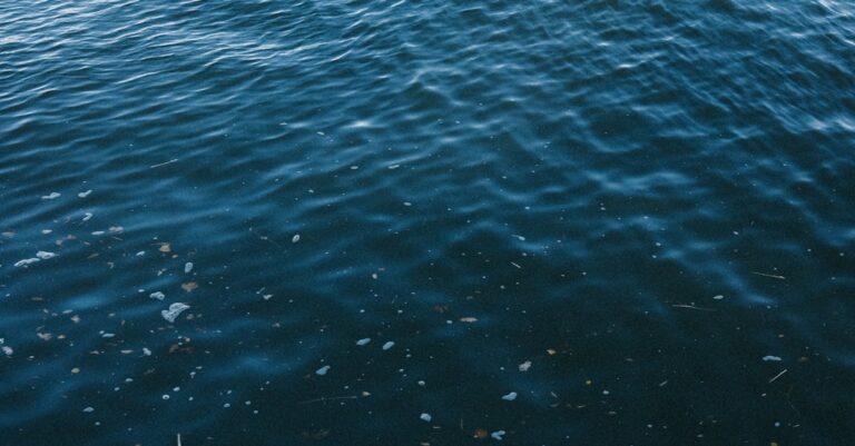 water-pollution-analysis