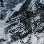 Crans-Montana-bar-fire-aftermath-1