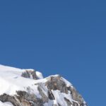 Davos-summit-attendees