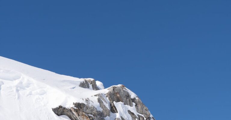 Davos-summit-attendees