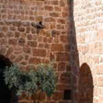 Gabriel-Attal-speech-2