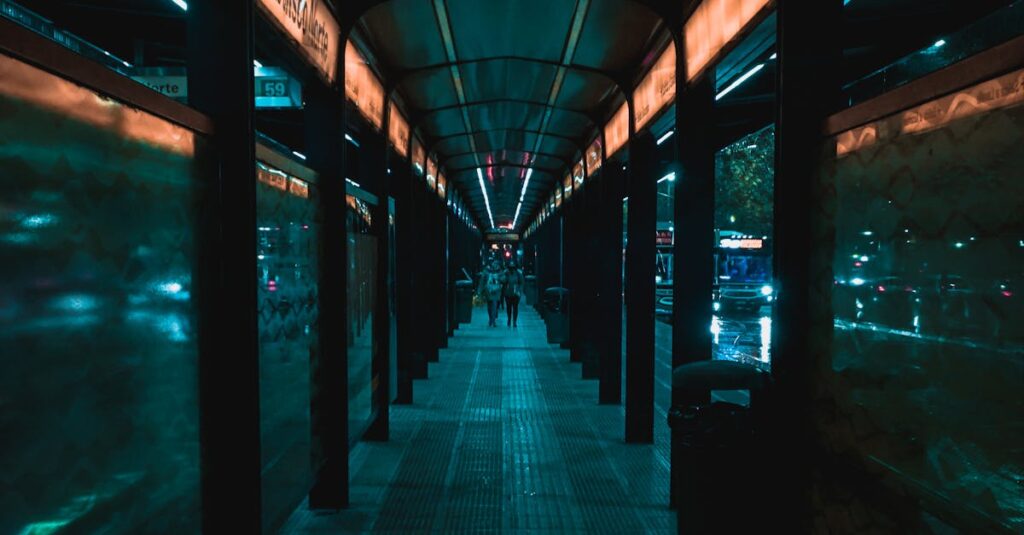 Julio-Iglesias-concert