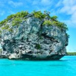 Nouvelle-Caledonie-consultations-politiques