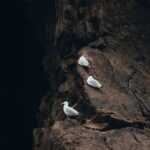 Somaliland-coastline-Gulf-Aden