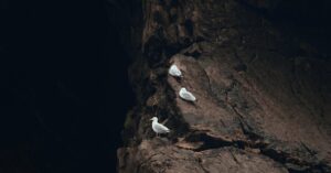 Somaliland-coastline-Gulf-Aden