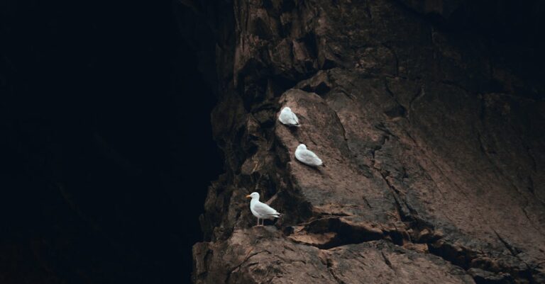 Illustration de Somaliland : Israël reconnaît une indépendance stratégique Somaliland-coastline-Gulf-Aden