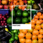 avocados-mangoes-South-America