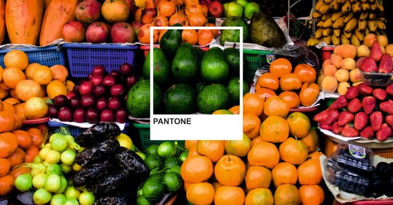 avocados-mangoes-South-America