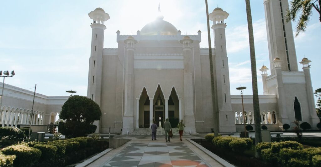 Illustration de Ilhan Omar: Cible de Trump et figure progressiste ilhan-omar-minnesota