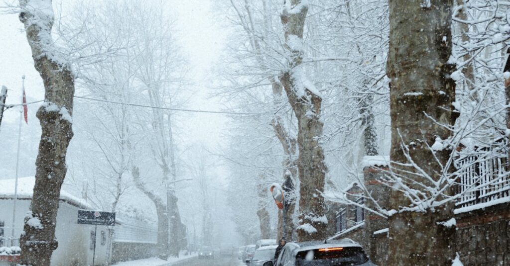 Illustration de Neige et Verglas : La France sous Alerte, Tempête Goretti Arrive snowstorm-winter-europe