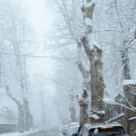 snowstorm-winter-europe