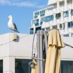 Grande-Motte-beach-restaurant