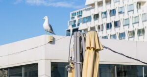 Grande-Motte-beach-restaurant