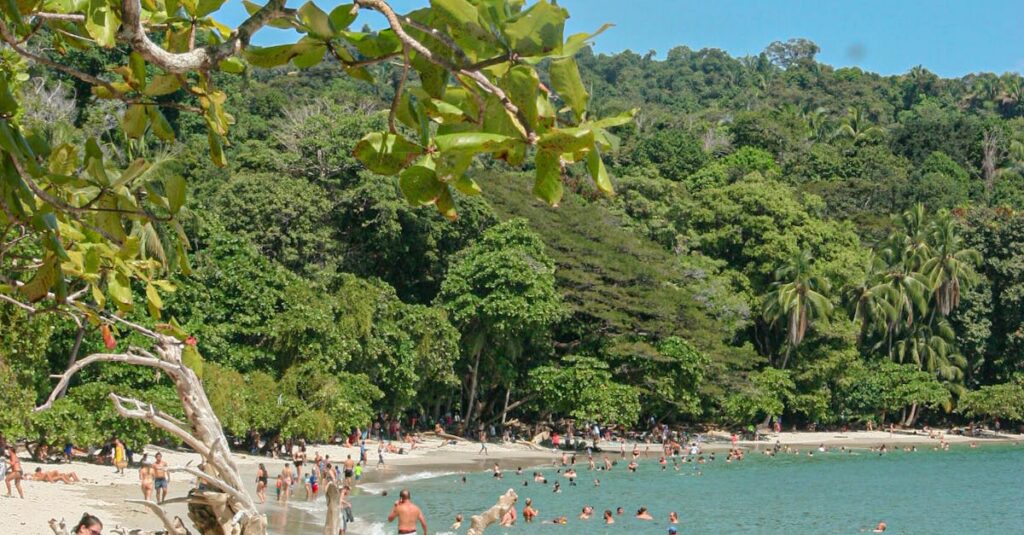 Manuel-Bompard-portrait