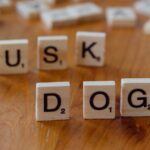 xAI-Elon-Musk-investment