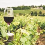 Bourgogne-countryside-home