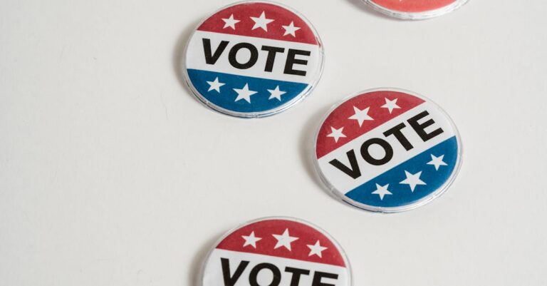 Illustration de LR : Mode de désignation du candidat présidentiel en avril French-political-election