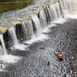 brazil-amazon-forest