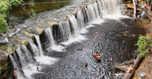 brazil-amazon-forest