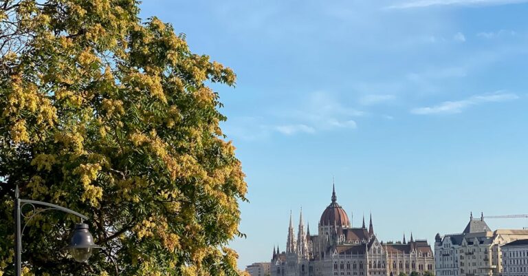 Illustration de Migratoire : l'union des droites européennes pour expulser les clandestins european-parliament-building-1
