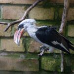 macron-von-der-leyen-summit