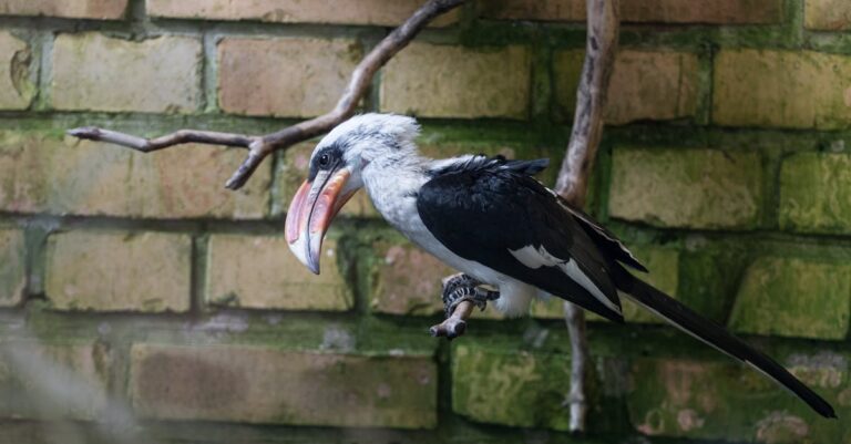 macron-von-der-leyen-summit