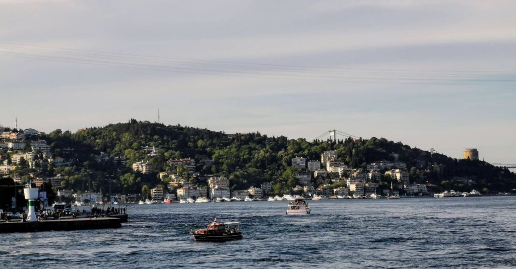 Illustration de Détroit d'Ormuz : l'Iran ouvre le passage, tensions persistantes ormuz-strait-ship