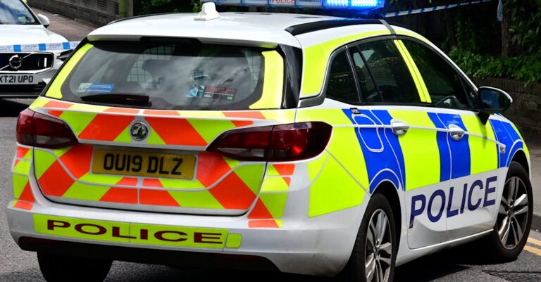 police-car-incident-France