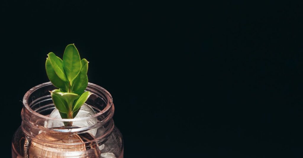 Illustration de Épargne salariale : l'essor des placements responsables et solidaires sustainable-investment-growth