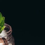 sustainable-investment-growth