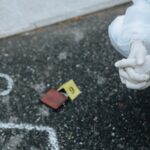 French-crime-statistics