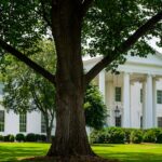 Trump-White-House-meeting