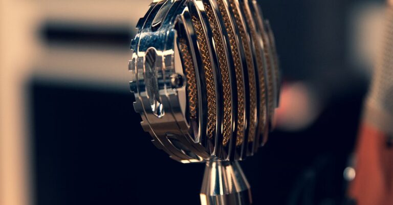 marine-tondelier-microphone