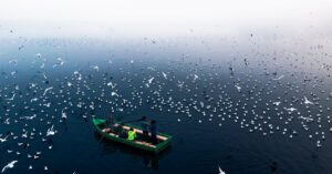 Frontex-migrants-boat