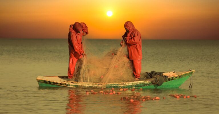 Gaza-activism-boat