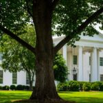 Trump-Warsh-White-House