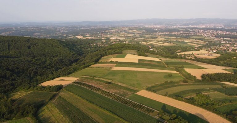 eu-agriculture-support