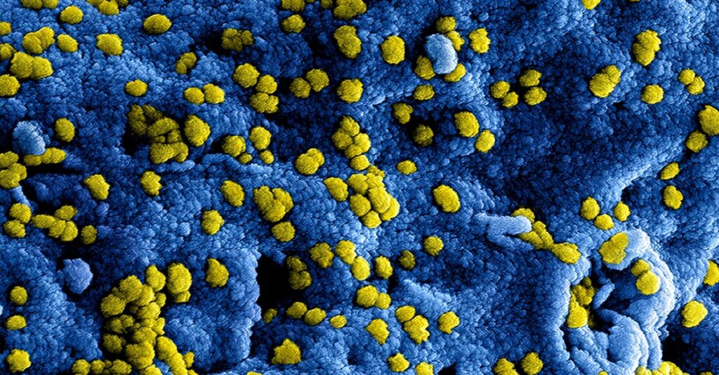 Illustration de Hépatite B : Le Bepirovirsen offre un espoir de guérison fonctionnelle hepatitis-B-virus-research
