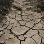 France-heatwave-crisis-1