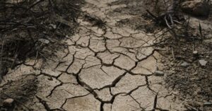 France-heatwave-crisis-1