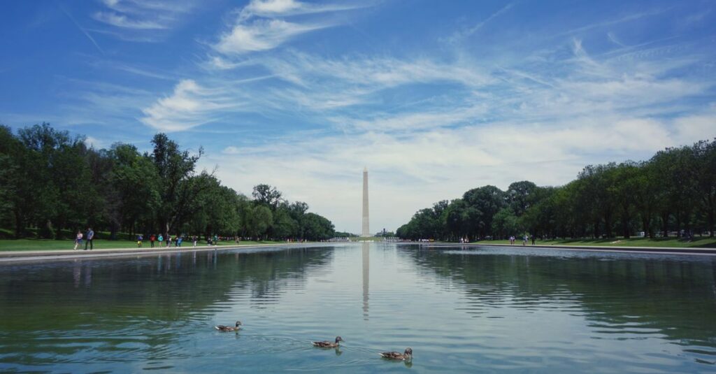National-Mall-reflecting-pool-algae